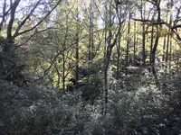 川崎市立日本民家園の写真・動画_image_240573