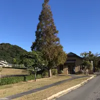 淡路ファームパーク イングランドの丘の写真・動画_image_240640