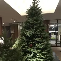 グランドプリンスホテル 高輪の写真・動画_image_240669