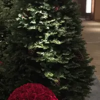 グランドプリンスホテル 高輪の写真・動画_image_240670