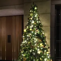 ザ・プリンス さくらタワー東京の写真・動画_image_240671