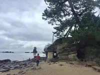 国定公園 雨晴海岸の写真・動画_image_240840