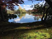 兼六園の写真・動画_image_240863