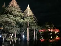 兼六園の写真・動画_image_240864