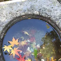 兼六園の写真・動画_image_240865