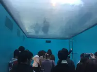 金沢21世紀美術館の写真・動画_image_240875