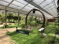 大多喜ハーブガーデンの写真・動画_image_240916