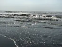 国民宿舎 サンライズ九十九里の写真・動画_image_240919
