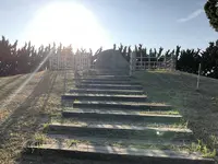 九十九里海岸の写真・動画_image_240922