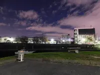 旧穴守稲荷神社 大鳥居の写真・動画_image_240951