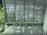 くびつり坂の写真・動画_image_240961