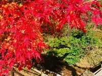 龍頭が滝の写真・動画_image_240991