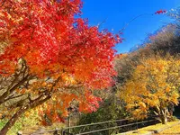 龍頭が滝の写真・動画_image_240996