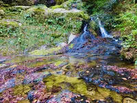 龍頭が滝の写真・動画_image_240997
