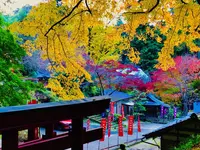 瑞光山 清水寺の写真・動画_image_241011