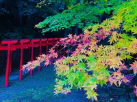 瑞光山 清水寺の写真・動画_image_241012