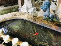 瑞光山 清水寺の写真・動画_image_241015
