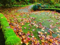 瑞光山 清水寺の写真・動画_image_241016