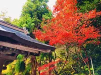 瑞光山 清水寺の写真・動画_image_241018