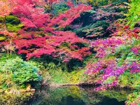瑞光山 清水寺の写真・動画_image_241019