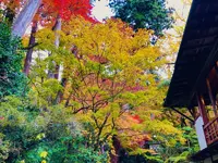 瑞光山 清水寺の写真・動画_image_241021