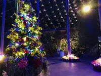 鳥取県立フラワーパークとっとり花回廊の写真・動画_image_241024