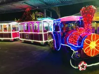 鳥取県立フラワーパークとっとり花回廊の写真・動画_image_241025