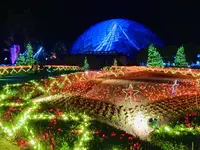 鳥取県立フラワーパークとっとり花回廊の写真・動画_image_241032