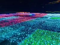 鳥取県立フラワーパークとっとり花回廊の写真・動画_image_241033
