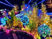 鳥取県立フラワーパークとっとり花回廊の写真・動画_image_241035