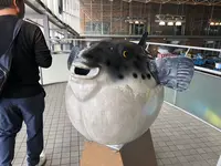 唐戸市場の写真・動画_image_241040