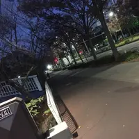 新左近川親水公園の写真・動画_image_241118