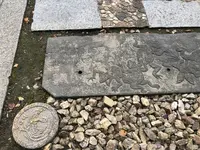 一宮寺の写真・動画_image_241158