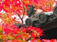 蓮華寺の写真・動画_image_241244