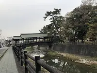 琴平花壇の写真・動画_image_241304