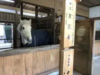 金刀比羅宮（こんぴらさん）の写真・動画_image_241322