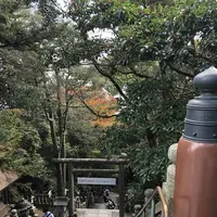 金刀比羅宮（こんぴらさん）の写真・動画_image_241324