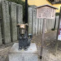 金刀比羅宮（こんぴらさん）の写真・動画_image_241331