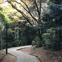 厳魂神社の写真・動画_image_241334