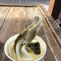 ナカノヤの写真・動画_image_241335