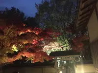 養浩館庭園の写真・動画_image_241398