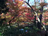 JR福井駅の写真・動画_image_241400