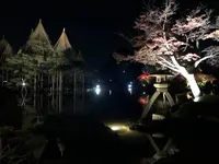 兼六園の写真・動画_image_241595