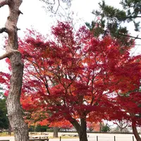 金沢城公園の写真・動画_image_241600