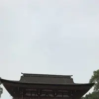 太宰府天満宮の写真・動画_image_241769