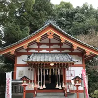 太宰府天満宮の写真・動画_image_241771