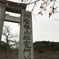 竈門神社の写真・動画_image_241774