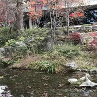 竈門神社の写真・動画_image_241775