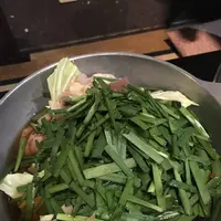 もつ鍋 楽天地 天神本店の写真・動画_image_241938