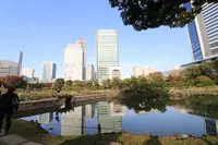 旧芝離宮恩賜庭園の写真・動画_image_241965